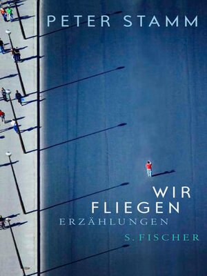 cover image of Wir fliegen